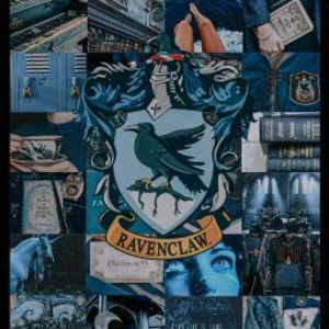 Meet your Posher, Sofia